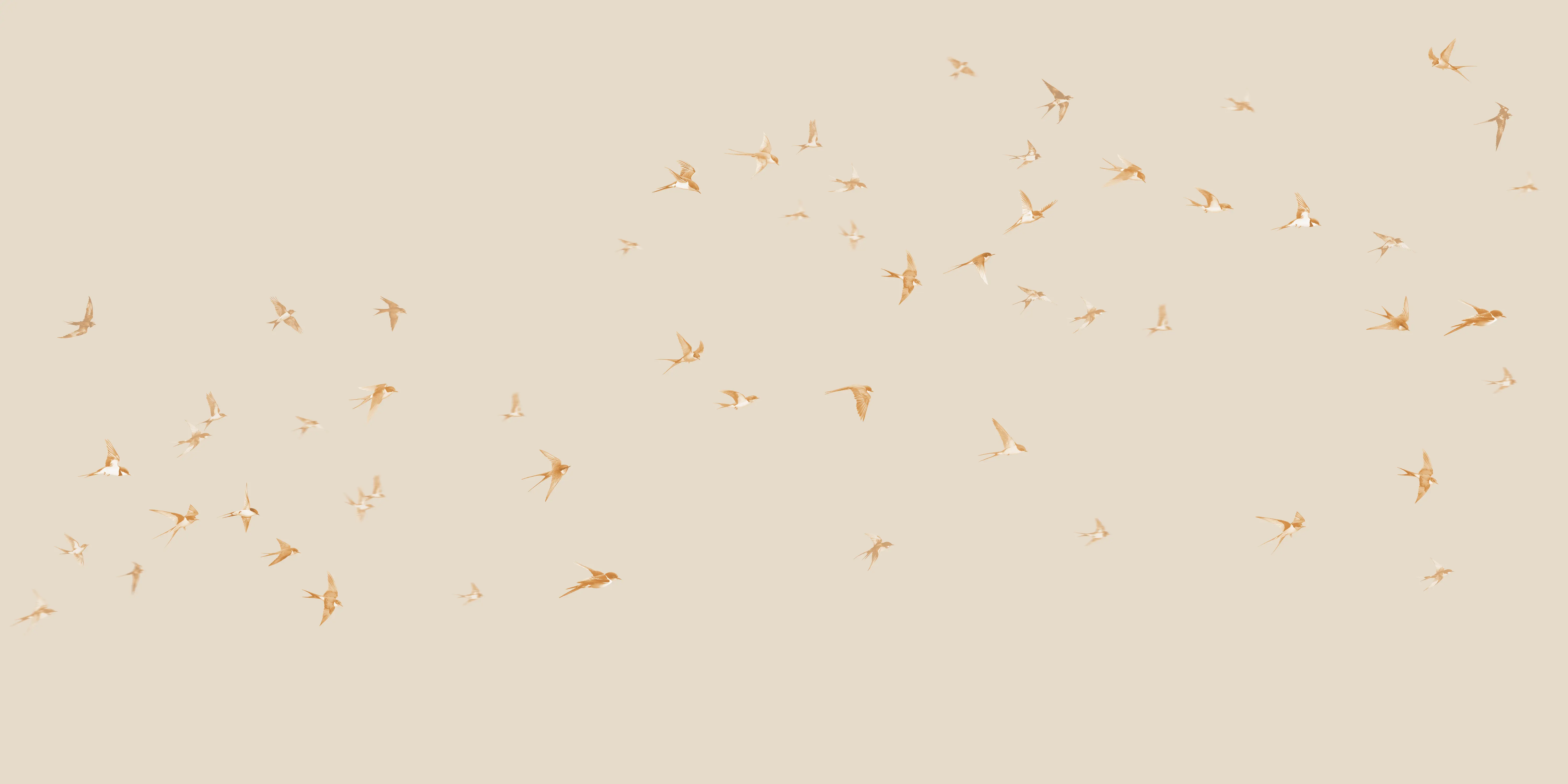 24004 P01-K1