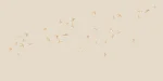Swallows - Image 15
