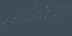 Swallows - Image 3
