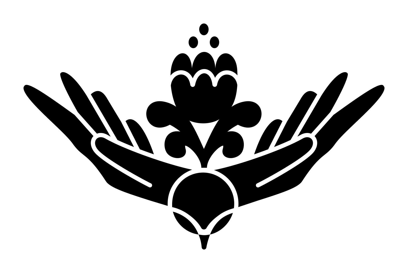 Ptaha black