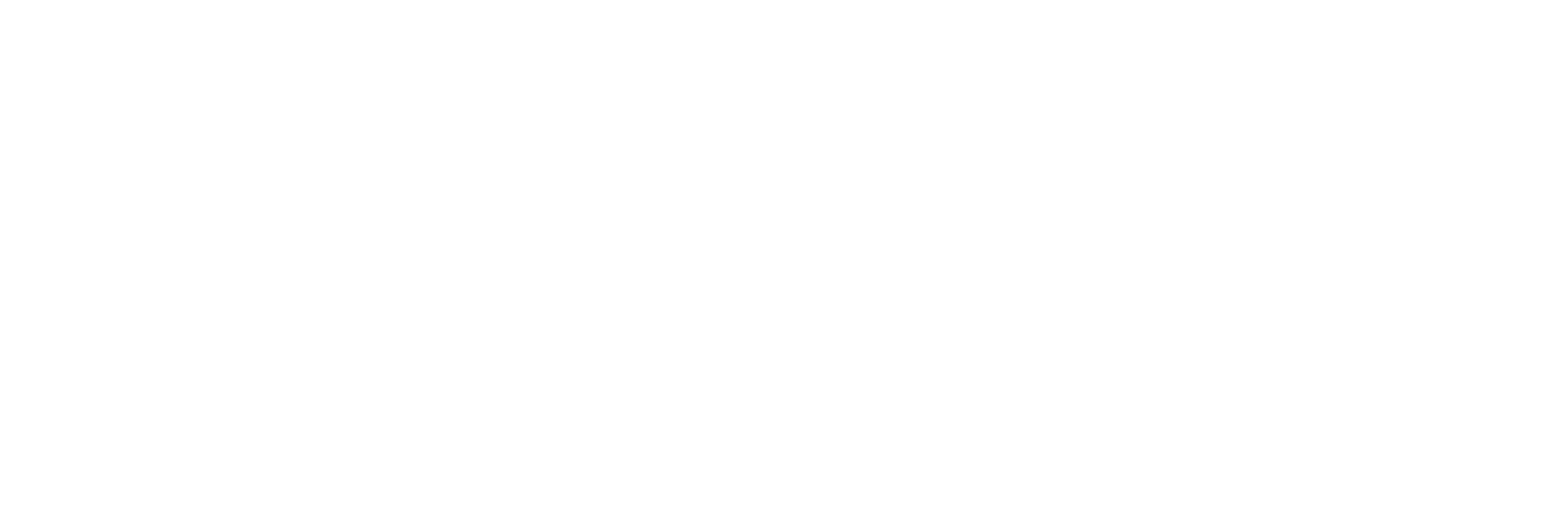 TAHHO text logo white